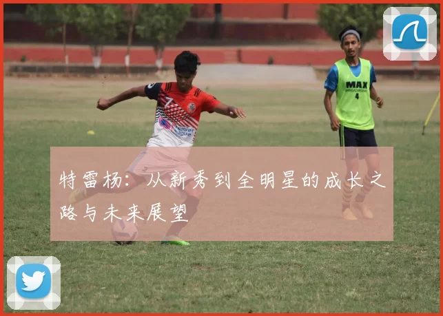 特雷杨：从新秀到全明星的成长之路与未来展望