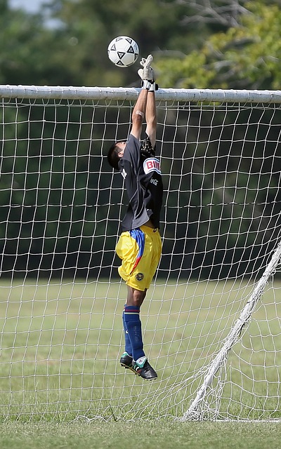 这一决策帮 这一决策帮