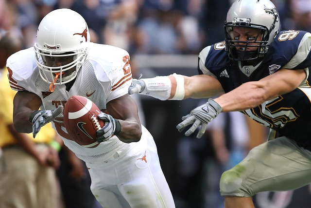 无疑是稀世 无疑是稀世