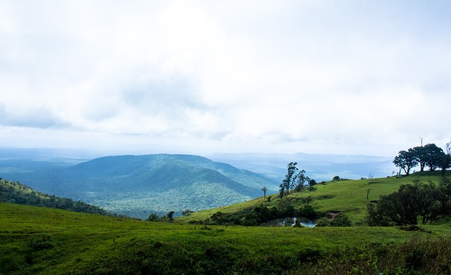着国际局势 着国际局势