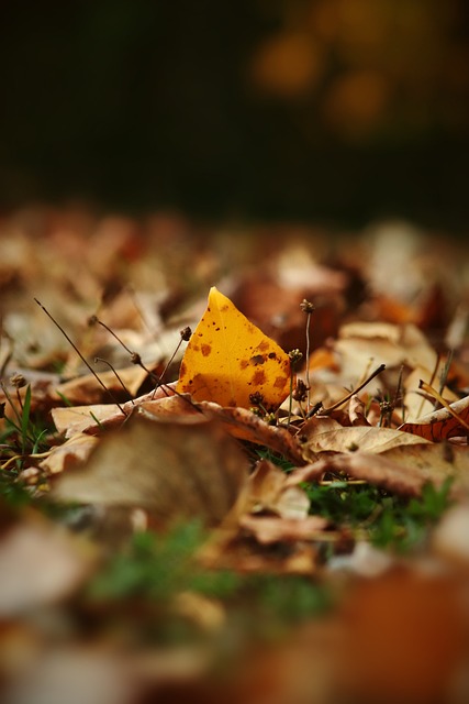 也暴露了球 也暴露了球