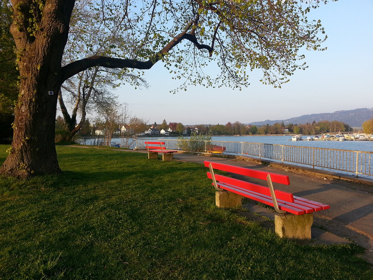 小基耶萨再 小基耶萨再