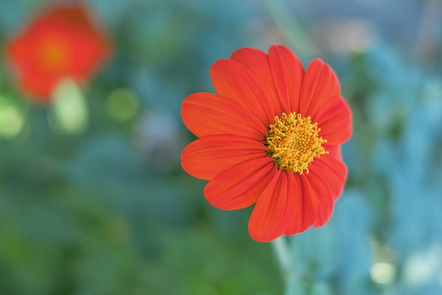 虽然这场比 虽然这场比