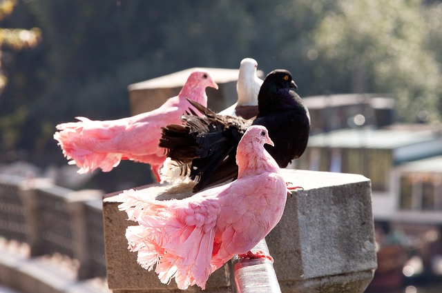 值得关注的 值得关注的