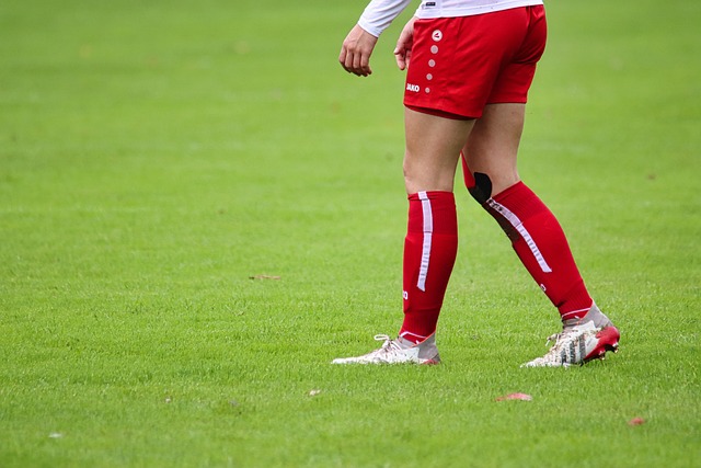 往往令深圳 往往令深圳